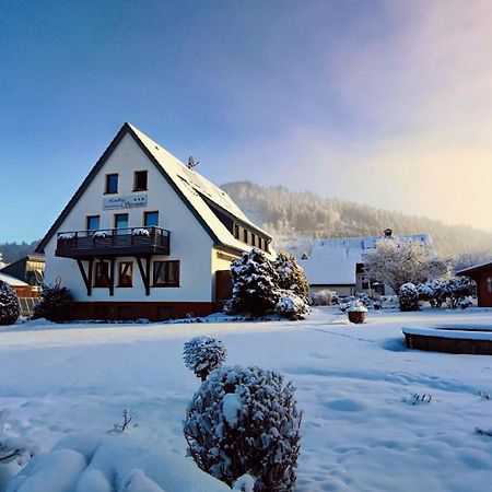 Landhaus Stremme Willingen  Ngoại thất bức ảnh